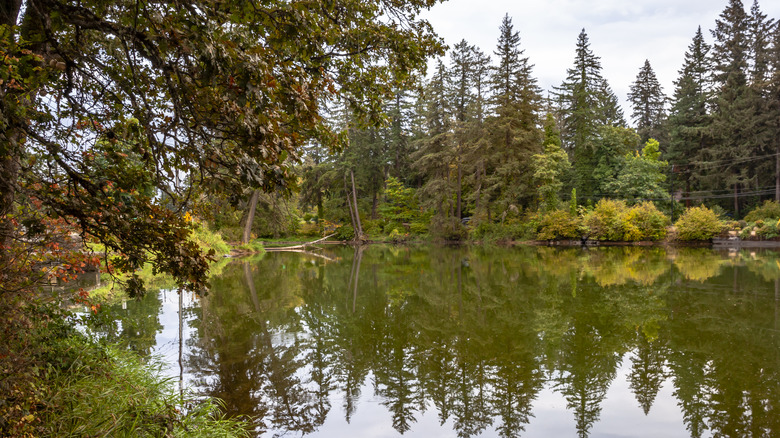 Lake Lacamas in Camas, Washington