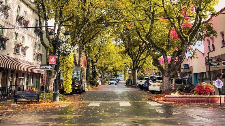 Street in Downtown Camas, Washington