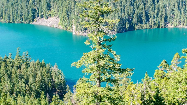 The bright blue lake visible between forested banks