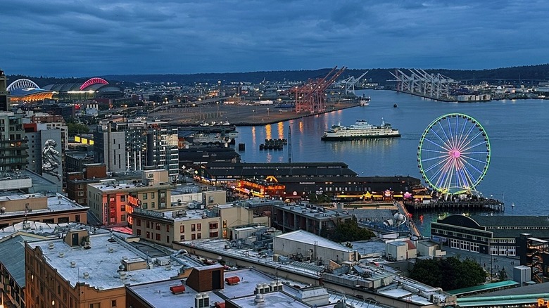 The view of the skyline from The Nest in Seattle