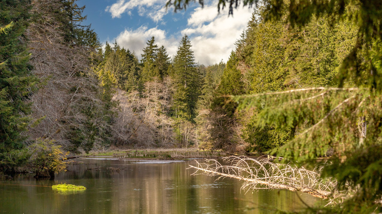 Lake Sylvia at the Lake Sylvia State Park in Washington