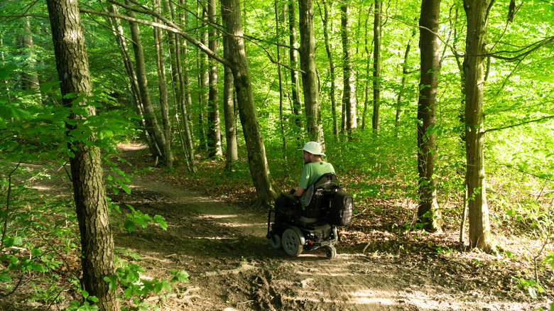 A man using a wheelchair while traversing a forest trail
