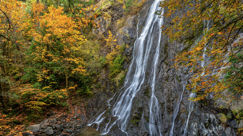 Rocky Brook Falls surrounded by trees in the fall in Washington