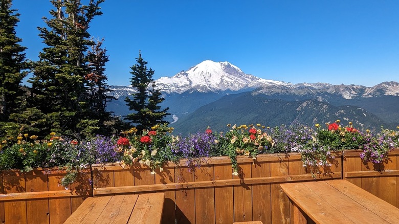 Restaurant patio seats overlooking Mt. Rainier in summer.