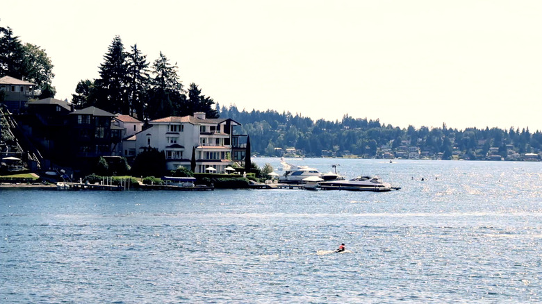 Houses and Douglas firs stipple the horizon around Meydenbauer Bay, Bellevue, Washington