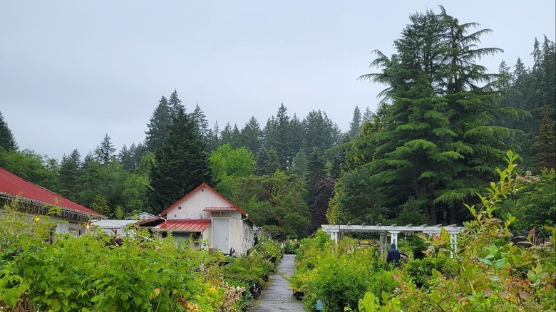 View of Bainbridge Gardens on Bainbridge Island, Washington