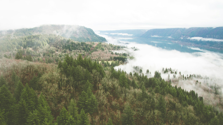 Columbia River, Washougal