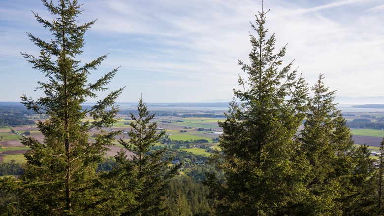 skyline of burlington washington from an overlook