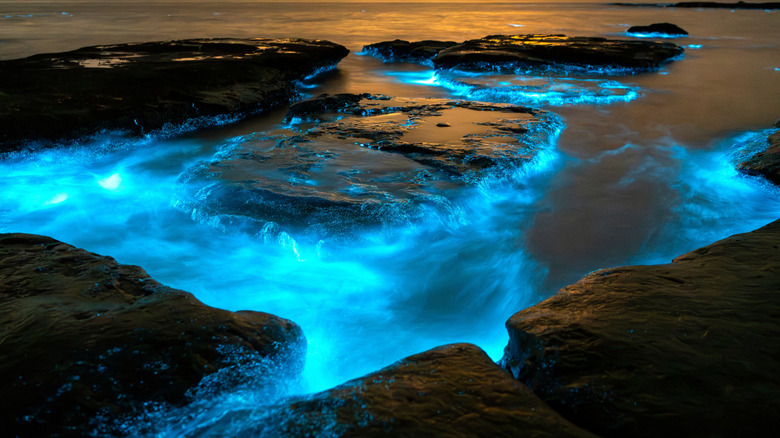 Bioluminescence in waters around rocky outcrops