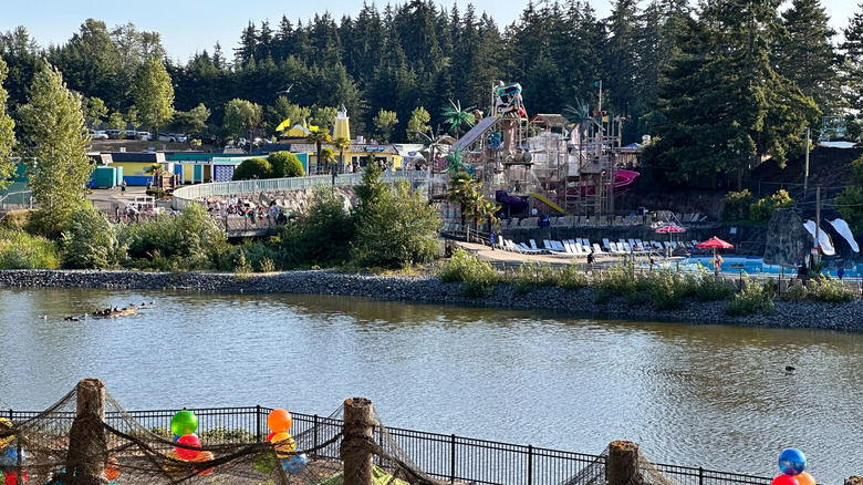 Wild Waves Theme and Water Park in Federal Way, Washington
