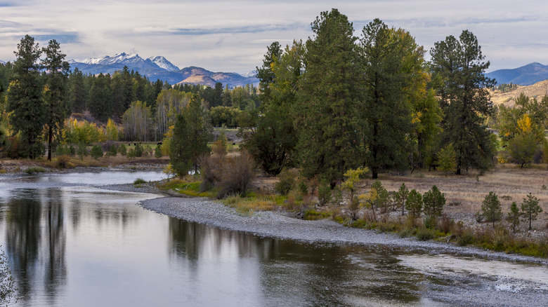 A tranquil stretch of the Methow River near Winthrop, Washington
