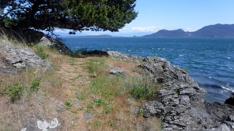 Trail along the shoreline of Doe Island