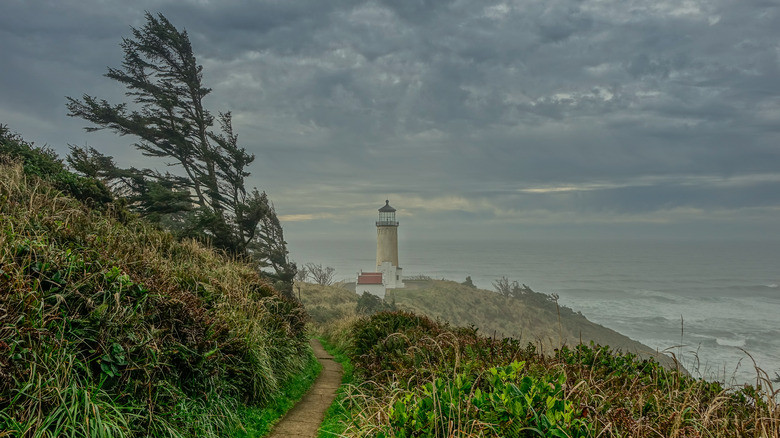 The Willapa National Wildlife Refuge on a stormy day