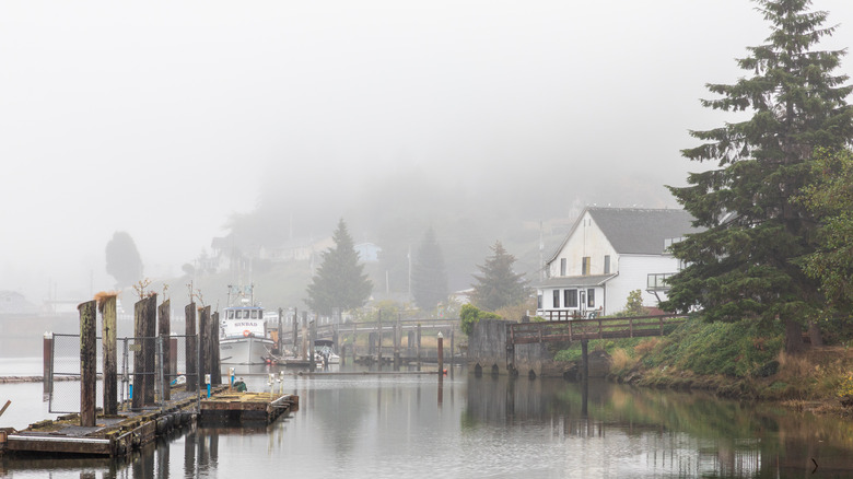 Sound Bend, Washington, in the fog