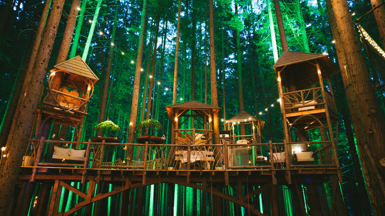 View of the various seating options set up for movie-viewing at The Emerald Forest, an outdoor event space in Redmond, Washington, U.S.A., with tall evergreen trees decked out with strings of lights visible in the background.