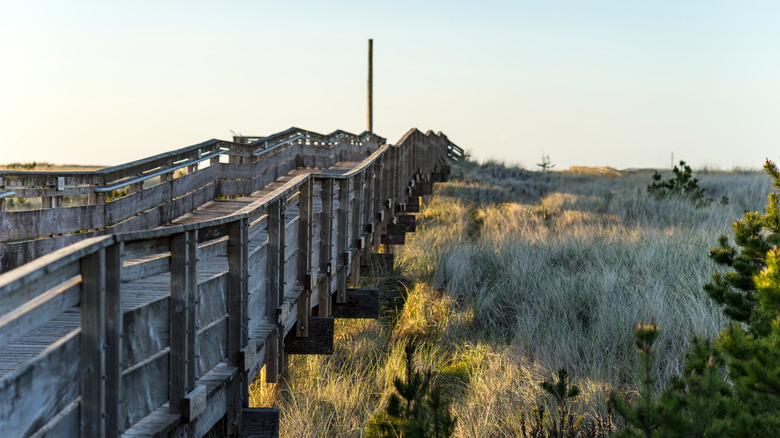 Long Beach Boardwalk in Washington