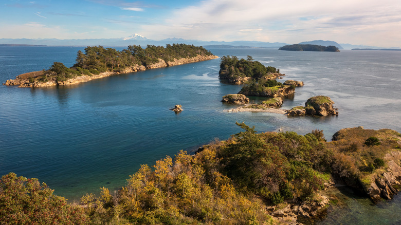 Aerial View of Ewing Cove, Sucia Island, Washington