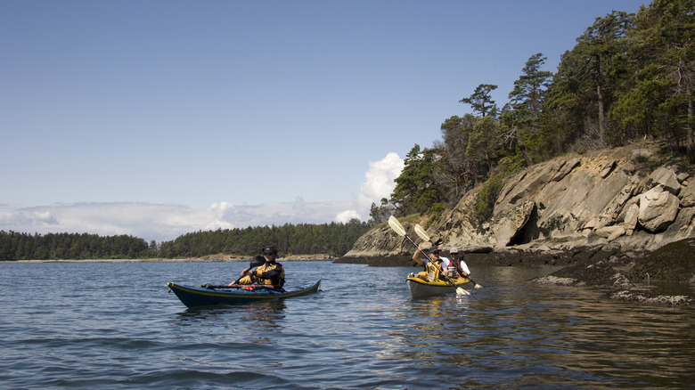 Kayakers on the water around Sucia Island