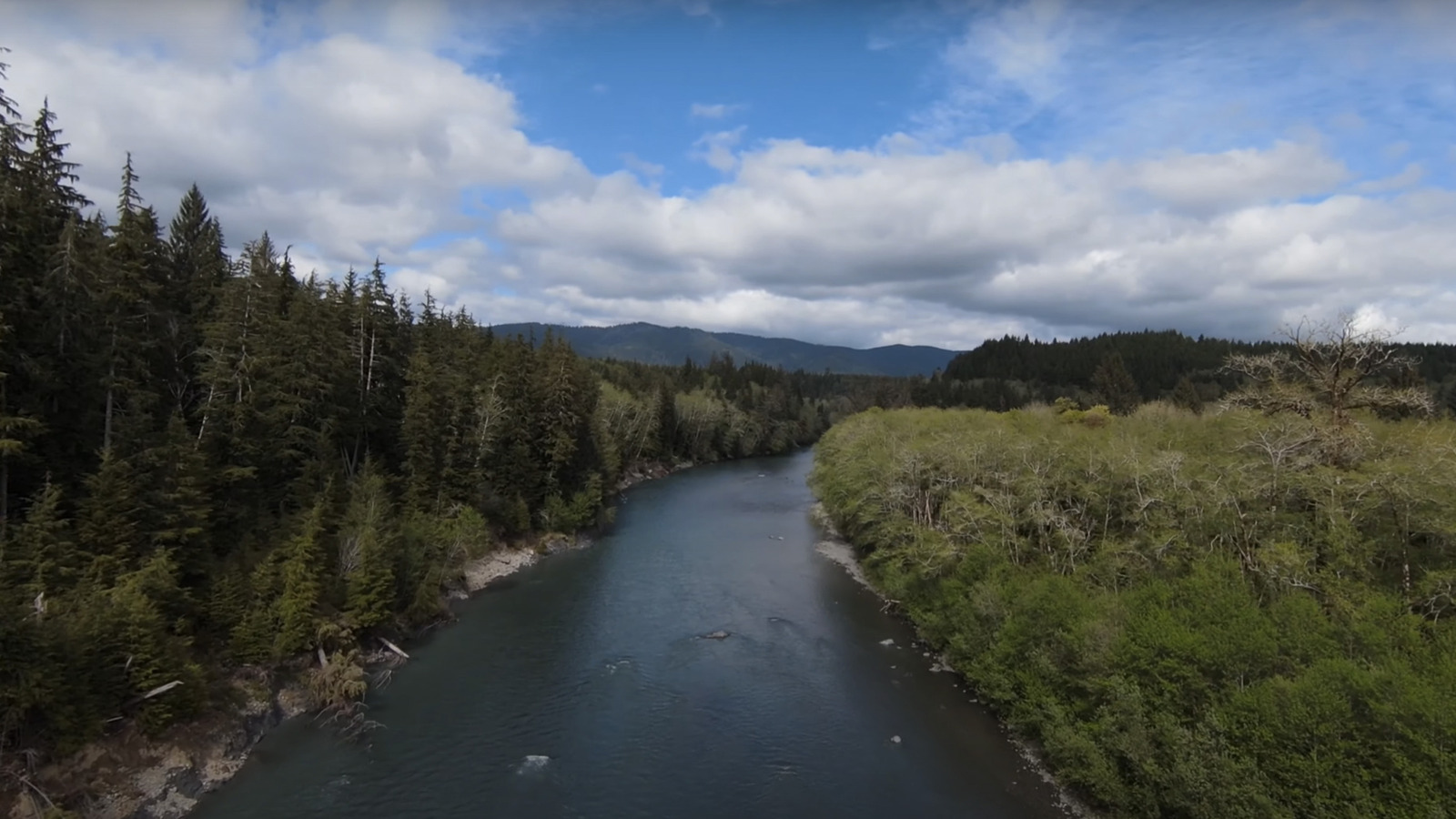 Washington's Olympic Peninsula Harbors A Secret 5 Per Night Campground