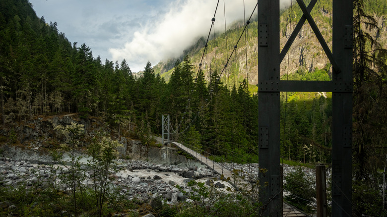 Bridge extending over the Carbon River, lots of green forest in the background