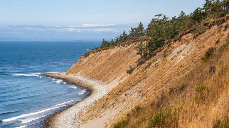 Coastal overlook at Fort Ebey State Park in Washington State