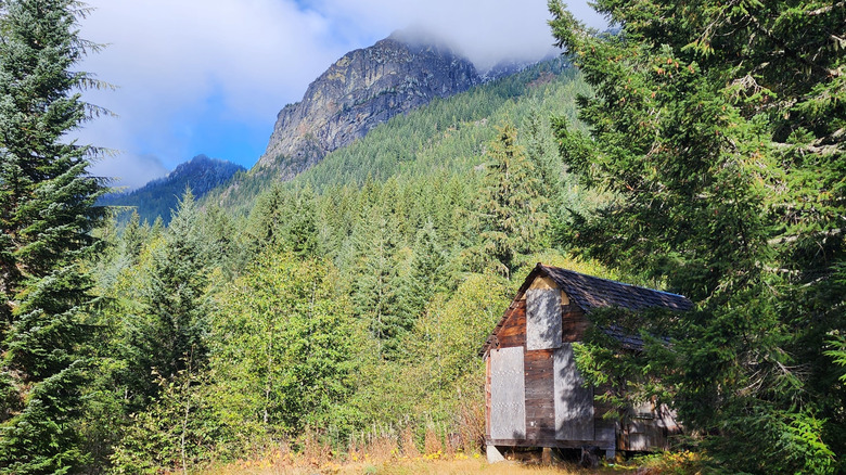 Abandoned cabin in Monte Cristo Ghost Town, Washington