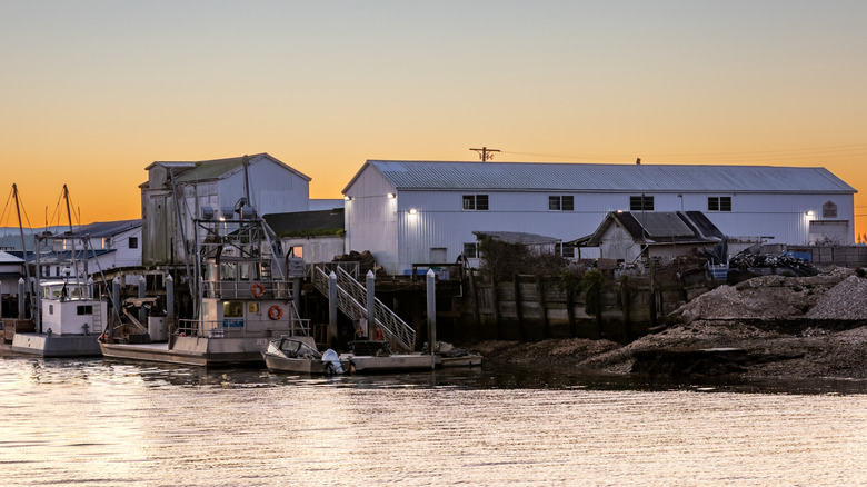 Industrial buildings and boats along the Ocean Park harbor at sunset in Washington