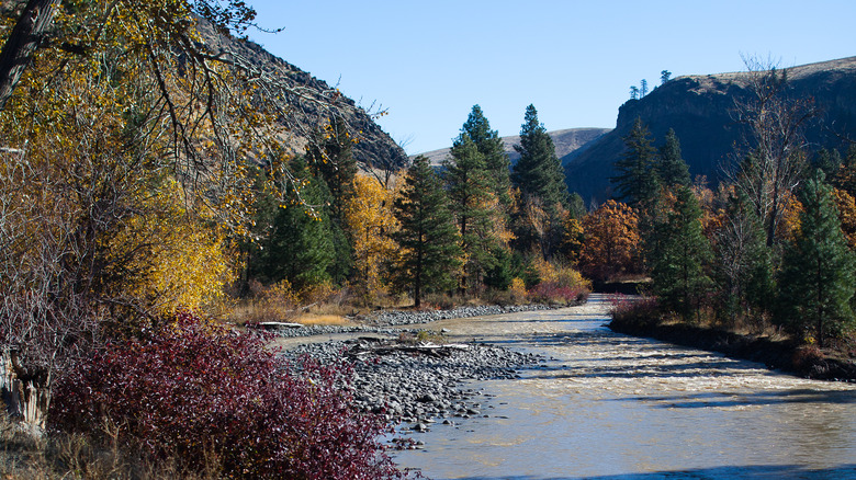 Tieton River Nature Trail