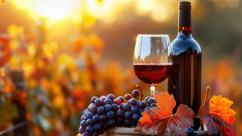 Bottle and glass of red wine with grapes