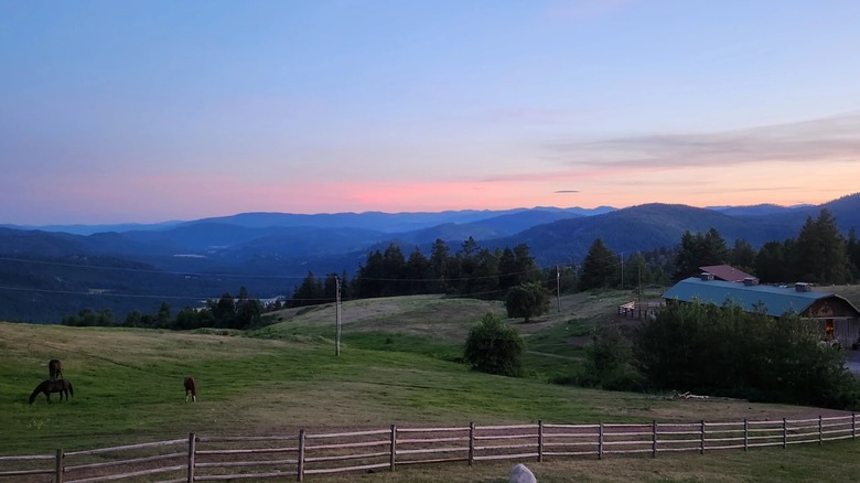 Panoramic view of pastures and horses grazing at Bull Hill Guest Ranch in the sunset's afterglow