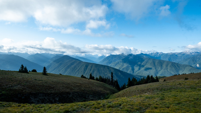 Green mountains in blue and cloudy sky from Hurricane Ridge Olympic National Park