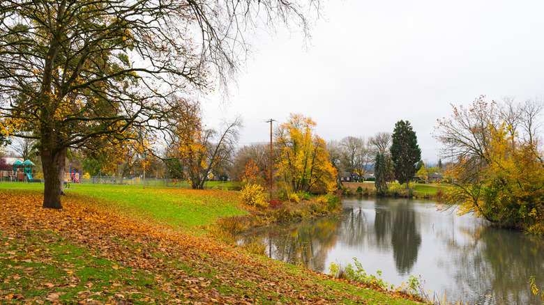 Lake Sacajawea Park, Longview, Washington