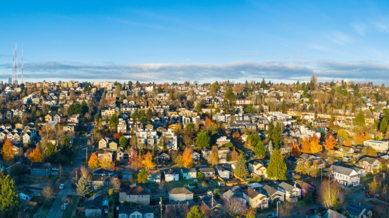 Houses cluster around trees in the sunshine in Seattle's Clyde Hill suburb.