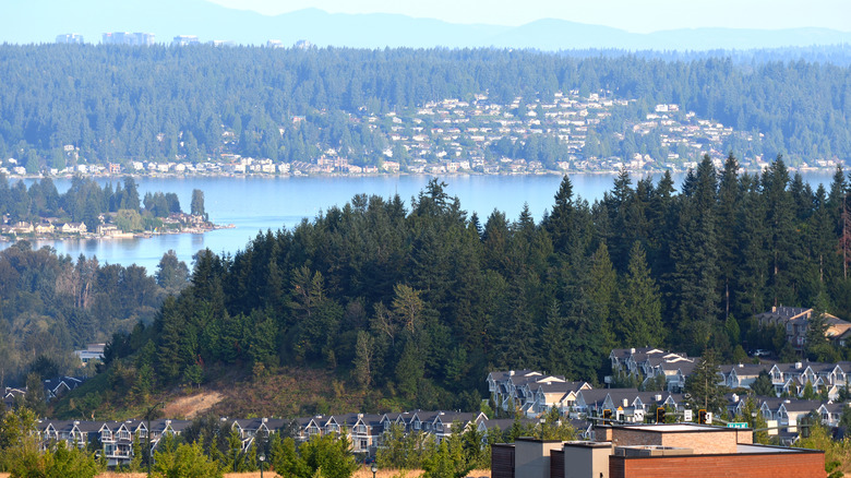 Houses and trees clustered around Lake Sammamish.