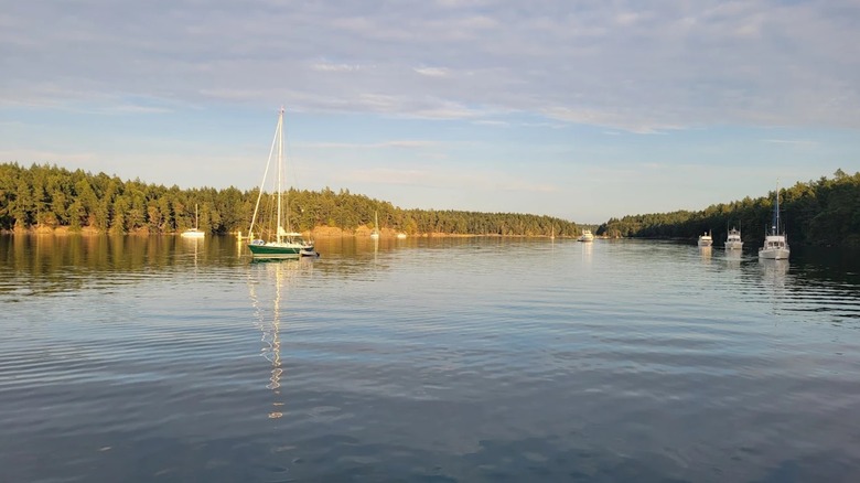 View of the boats in the waters around Stuart Island