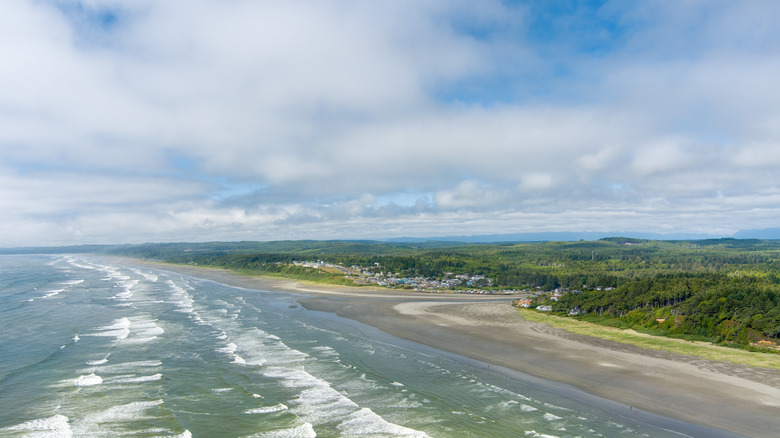 Aerial view of Seabrook, Washington along the Hidden Coast Scenic Byway