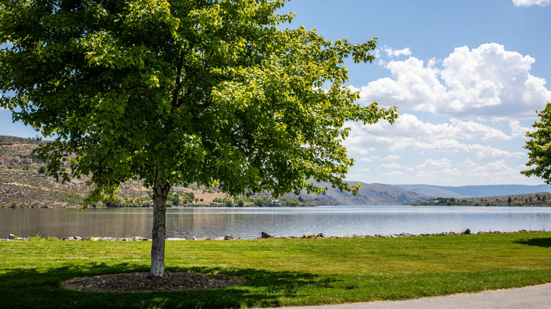 A riverfront park in Pateros, Washington