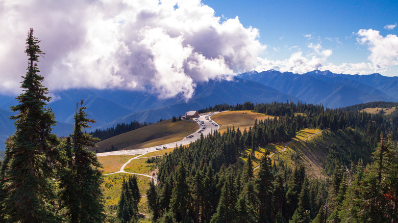 A parking lot on Hurricane Ridge Road