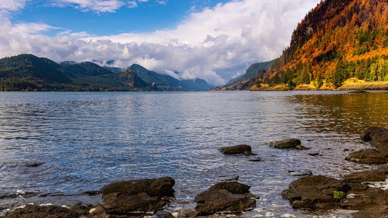 Columbia River Gorge Shoreline From The Spring Creek Hatchery State Park