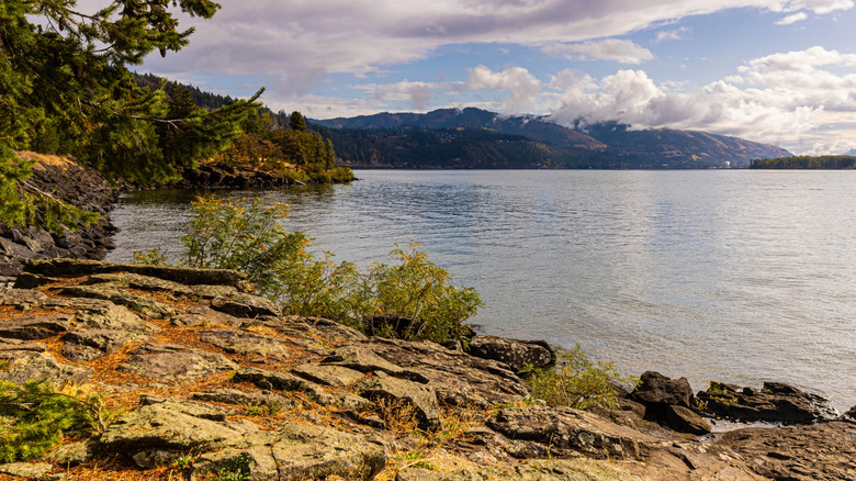 Columbia River Gorge shoreline from the Spring Creek Hatchery State Park
