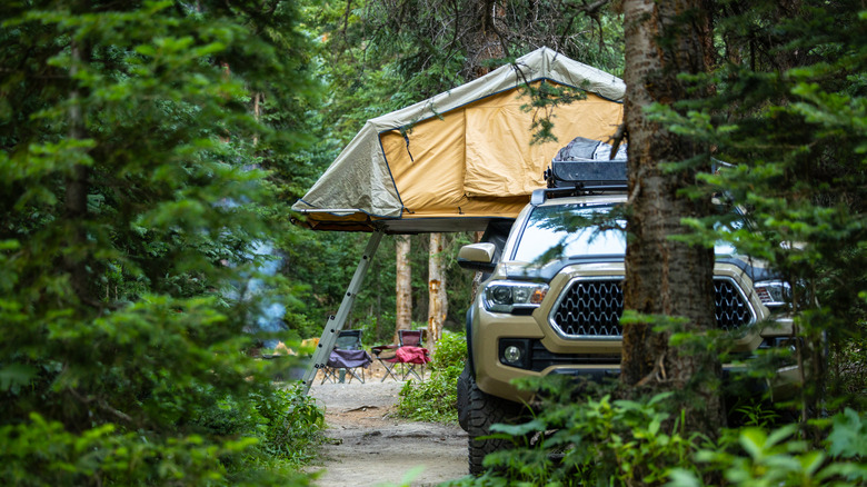A shot of a truck and elevated tent at a campsite in Washington State
