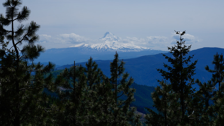 View of Mount Hood from Washington
