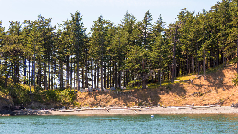 Pine-covered campsites overlook a sandy beach and the ocean at James Island Marine State Park, in Washington.