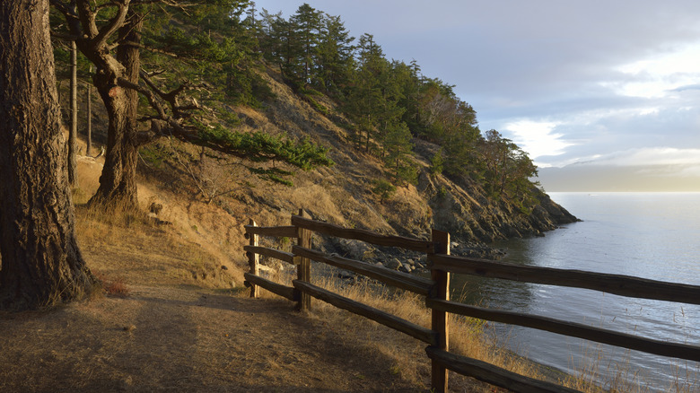 A wooden fence runs along a cliff overlooking the ocean at James Island Marine State Park, in Washington.