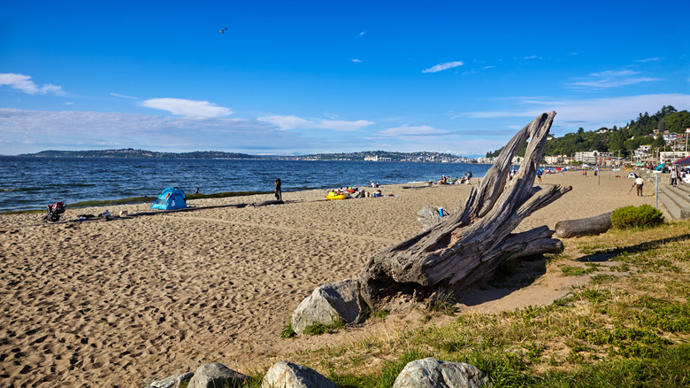 View of the shoreline at Alki Beach Park in Seattle