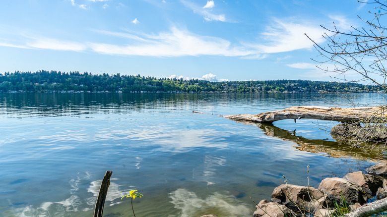 Hiking along Lake Washington in Kenmore, Washington