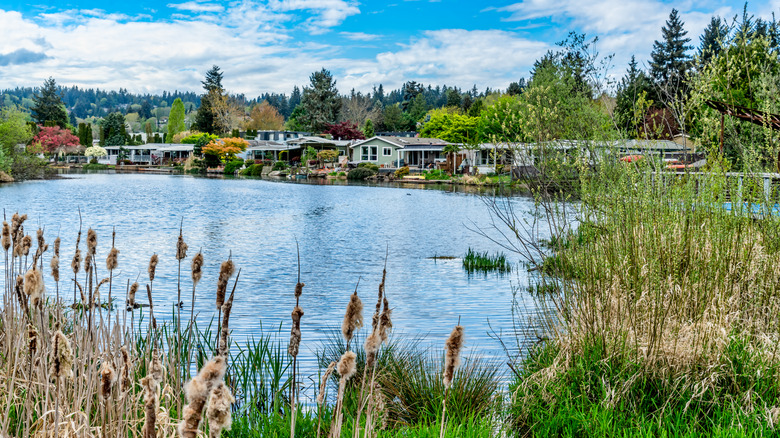 Homes along the wooded shoreline in Kenmore, Washington