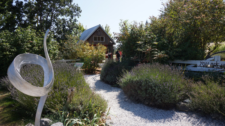 A trail in the San Juan Islands Sculpture Park