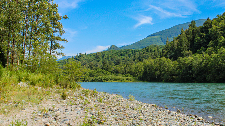 The Skagit River and mountains at Rasar State Park.