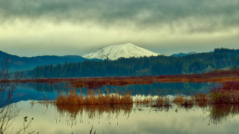 Mt. St. Helens as seen from Washington's Seaquest State Park